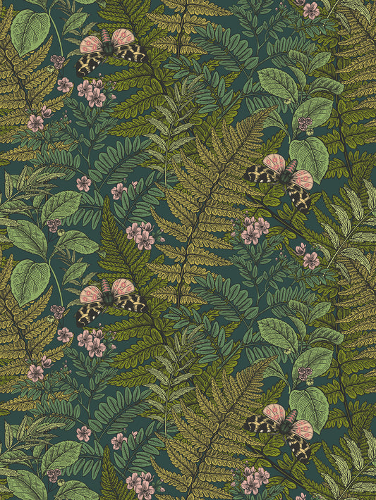 WILD FERNS - Forest Mix