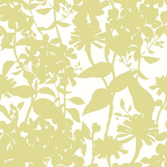 SUMMER SILHOUETTE - French Lime
