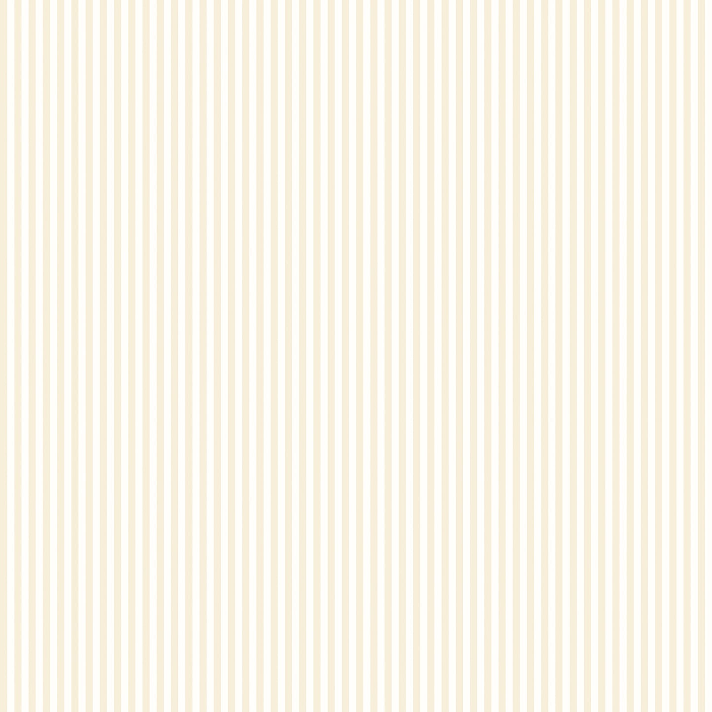 TINY STRIPE - Parchment