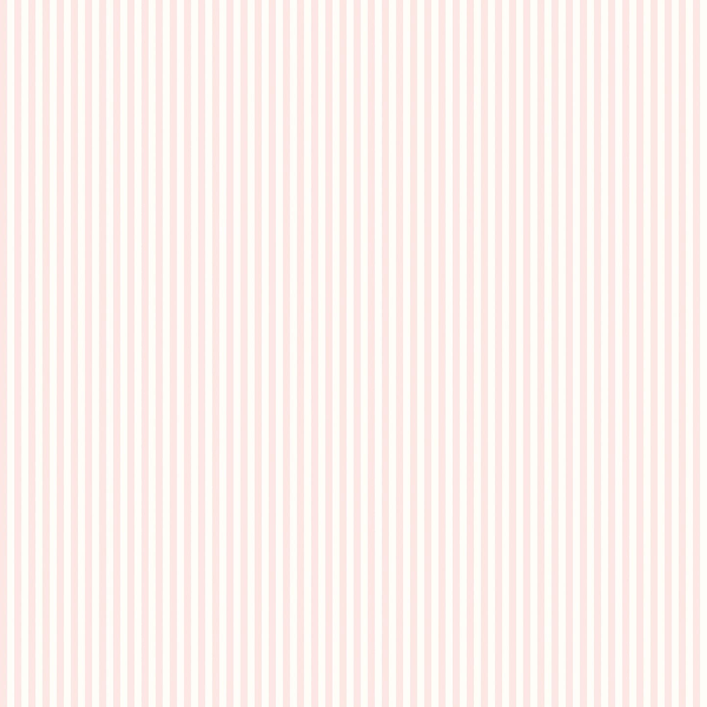 TINY STRIPE - Rose