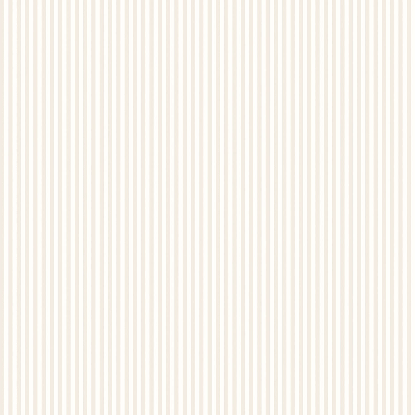 TINY STRIPE - Oat