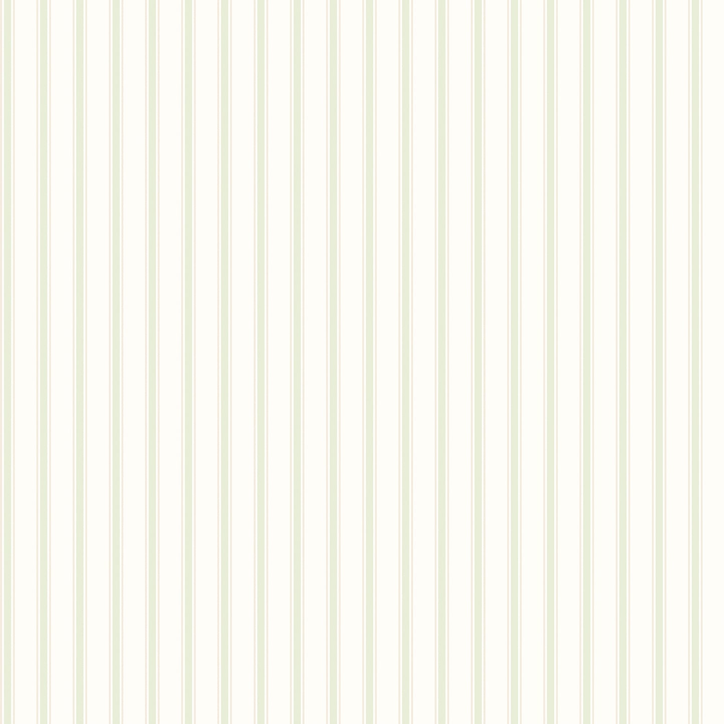 CHALK STRIPE - Apple