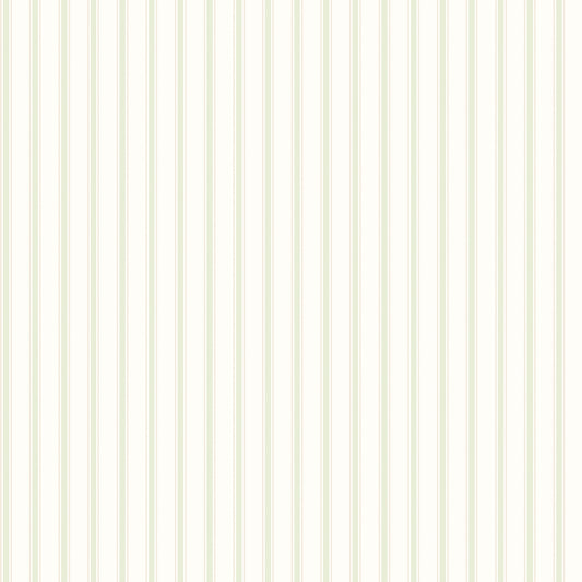CHALK STRIPE - Apple